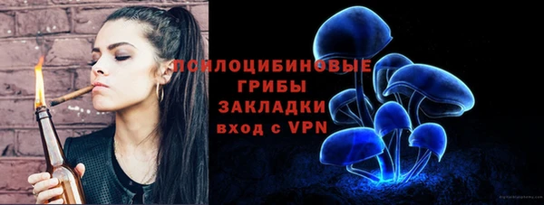 героин Лагань
