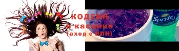 крисы Лабытнанги