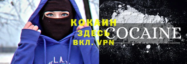 крисы Лабытнанги