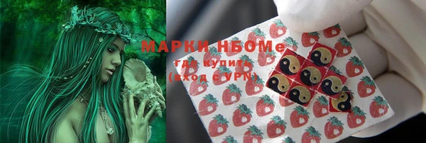 крисы Лабытнанги