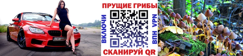 Галлюциногенные грибы GOLDEN TEACHER Новоалександровск