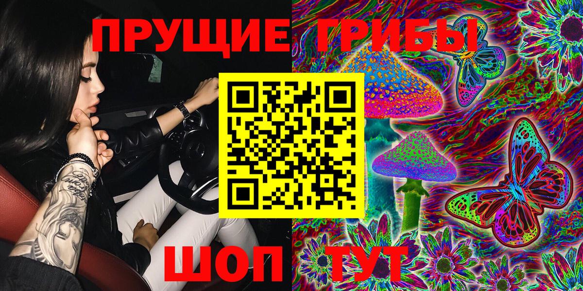 Новоалександровск  Галлюциногенные грибы Cubensis  Галлюциногенные грибы MAGIC MUSHROOMS  Вход с VPN 