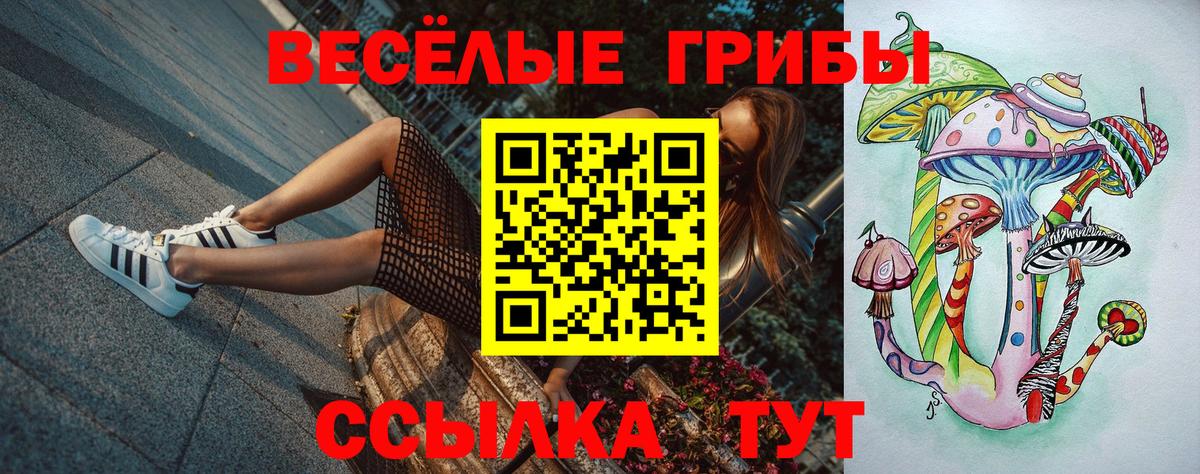 Галлюциногенные грибы прущие грибы Новоалександровск