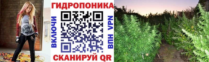 Каннабис Bruce Banner  Новоалександровск 